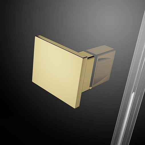 Дверь в нишу 1100мм прозрачное стекло Radaway Essenza Pro Gold DWJ 110 L 10099110-09-01L