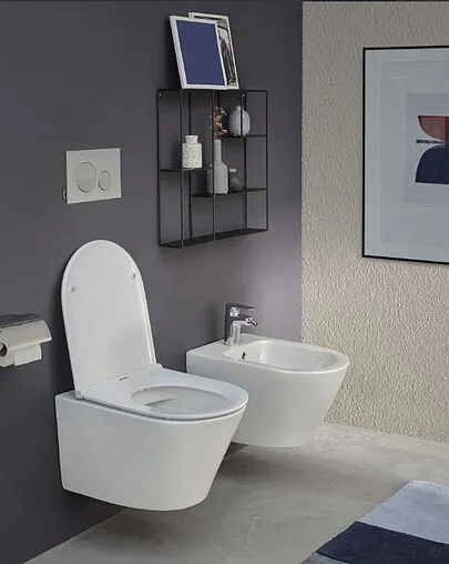 Комплект 6 в 1 Jacob Delafon Rodin+ E21750RU-00 с кнопкой E36496-00 белый глянцевый