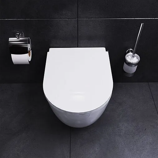 Унитаз подвесной безободковый Damixa Sirius белый DX86C1700SC Унитаз подвесной безободковый Damixa Sirius белый DX86C1700SC