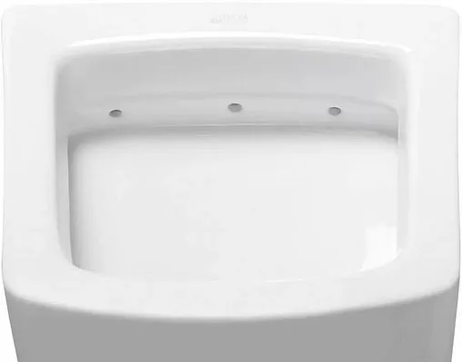 Писсуар со скрытым подводом воды ISVEA Purita белый 10PL92002SV-DS