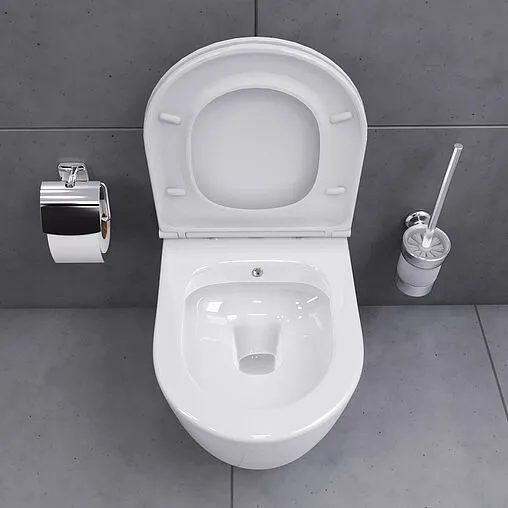 Унитаз подвесной безободковый с функцией биде Damixa Sirius белый DX86C1800SC Унитаз подвесной безободковый с функцией биде Damixa Sirius белый DX86C1800SC