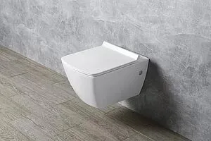 Унитаз подвесной безободковый ISVEA Purita белый 10PL02008SV, 5