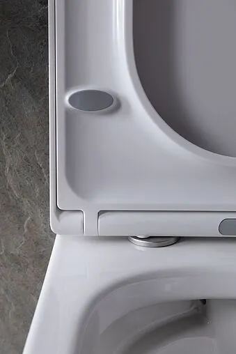 Унитаз подвесной безободковый Allen Brau Infinity белый 4.21004.20