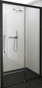 Дверь в нишу 1200мм прозрачное стекло Roltechnik Exclusive Line ECD2/1200 black elox P 565-120000P-05-02, 1