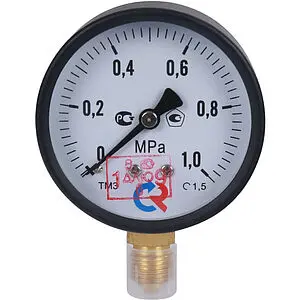 Манометр радиальный Росма ТМ-310Р.00 63мм 10 бар ¼&quot; 00000009573, 1