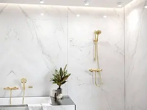 Лейка ручного душа Hansgrohe Raindance Select S 120 3jet полированное золото 26530990 Лейка ручного душа Hansgrohe Raindance Select S 120 3jet полированное золото 26530990, 4