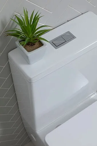 Унитаз-компакт безободковый Aquanet Tavr 2.0 Rimless белый Tavr 2.0 C1+Tavr 2.0 C2 Унитаз-компакт безободковый Aquanet Tavr 2.0 Rimless белый Tavr 2.0 C1+Tavr 2.0 C2