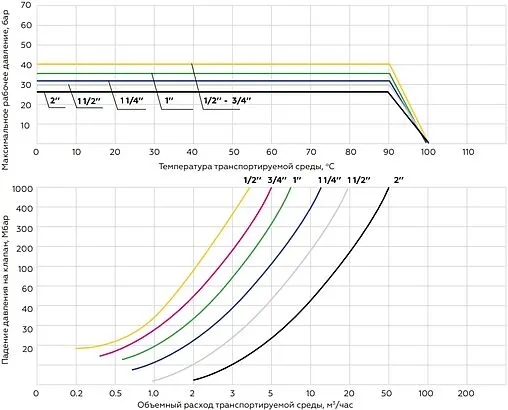 Клапан обратный пружинный 1½"в x 1½"в Elsen EV41.112112 Клапан обратный пружинный 1½"в x 1½"в Elsen EV41.112112