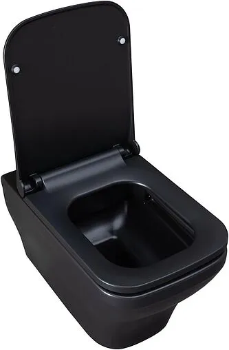 Унитаз подвесной безободковый Allen Brau Infinity черный матовый 4.21011.31