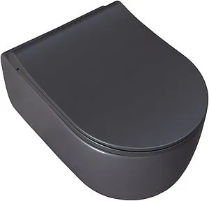 Унитаз подвесной безободковый Allen Brau Priority антрацит 4.31002.AN, 4