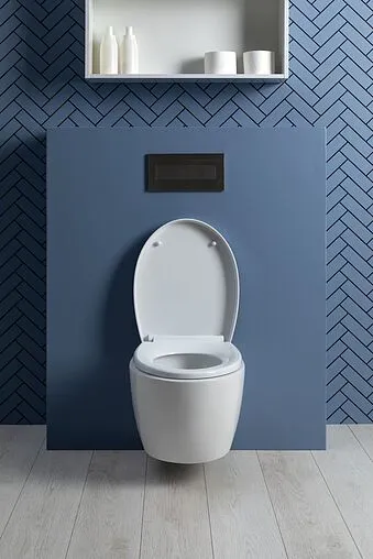 Унитаз подвесной безободковый Aquanet Zvezda Rimless белый ZV-1 Унитаз подвесной безободковый Aquanet Zvezda Rimless белый ZV-1