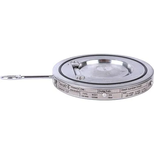 Клапан обратный поворотный одностворчатый межфланцевый Ду65 Ру16 Tecofi CB5440-0065