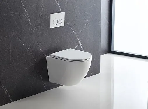 Унитаз подвесной безободковый Terminus Аврора Monolit Tornado белый 01WM49x36W