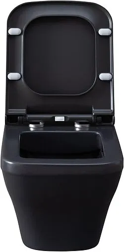 Унитаз подвесной безободковый Allen Brau Infinity антрацит 4.21011.AN