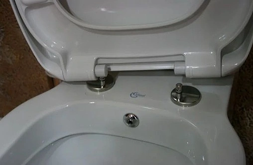 Унитаз подвесной с функцией биде Ideal Standard Connect белый E781901