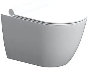 Унитаз подвесной безободковый Damixa Scandinavian Pure белый DX36C1701SC Унитаз подвесной безободковый Damixa Scandinavian Pure белый DX36C1701SC, 1