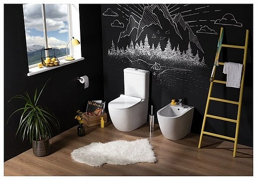 Унитаз-компакт безободковый Aquanet Cetus Rimless белый CETUS-C1+CETUS-C2