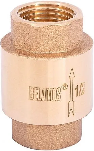 Погружной пружинный обратный клапан с фильтром ½&quot;в Belamos FV-C ½