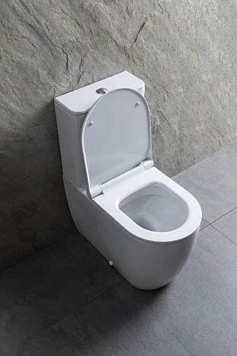 Унитаз-компакт безободковый Allen Brau Priority белый 4.31003.20+4.XX000.20