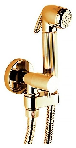 Гигиенический душ с запорным вентилем Bossini Nikita золото E57002.021