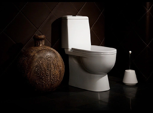 Унитаз-компакт Sanita Luxe Best Basic белый WC.CC/BEST/2-P/WHT.G/S1 Унитаз-компакт Sanita Luxe Best Basic белый WC.CC/BEST/2-P/WHT.G/S1