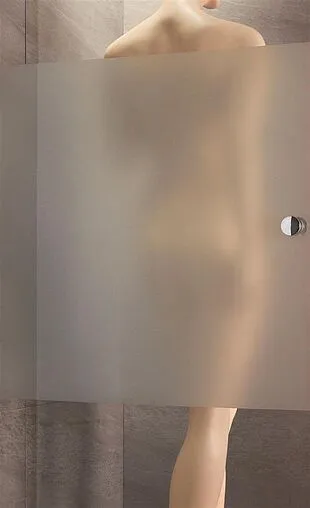 Дверь в нишу 1200мм прозрачное, матовое стекло Radaway Almatea DWJ 120 R 31502-01-12N