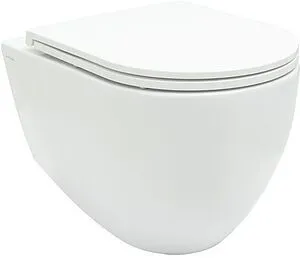 Унитаз подвесной безободковый Allen Brau Reality белый 4.32006.20 Унитаз подвесной безободковый Allen Brau Reality белый 4.32006.20, 1