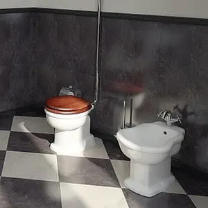 Биде напольное VitrA Efes белый 6597B003-0068, 4