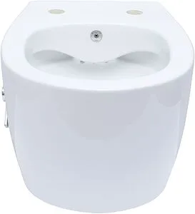 Унитаз подвесной безободковый с функцией биде и встроенным смесителем Allen Brau Fantasy белый 4.11HC1.20, 4