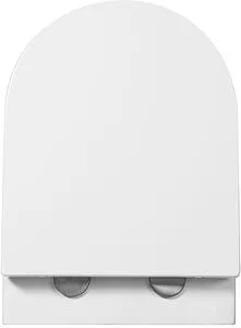 Унитаз подвесной безободковый Aquanet Zvezda Rimless белый ZV-2 Унитаз подвесной безободковый Aquanet Zvezda Rimless белый ZV-2, 5