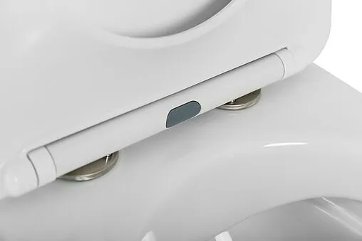 Унитаз приставной безободковый Cezares Giubileo белый CZR-265-CBR