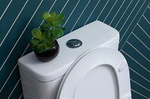 Унитаз-компакт безободковый Aquanet Roll 2-C Rimless белый Roll 2-C+Roll 2-C-1 Унитаз-компакт безободковый Aquanet Roll 2-C Rimless белый Roll 2-C+Roll 2-C-1