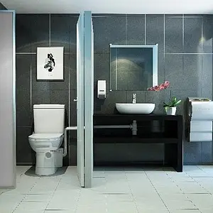 Канализационная насосная установка SFA Saniaccess 2 Канализационная насосная установка SFA Saniaccess 2, 3