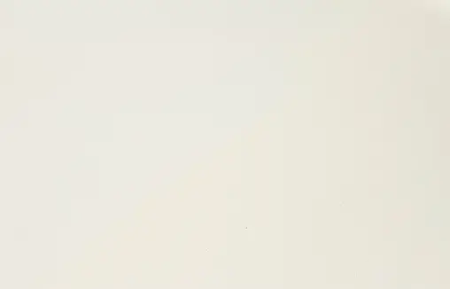 Мойка кухонная Omoikiri Akegata 51-PA пастила 4993754