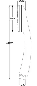 Лейка ручного душа Aquanet хром KH12800CP, 2