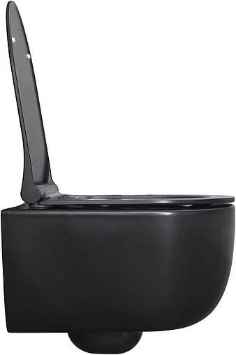 Унитаз подвесной безободковый Allen Brau Priority черный матовый 4.31002.31