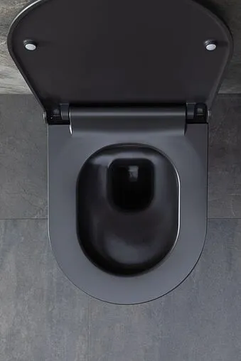 Унитаз подвесной безободковый Allen Brau Priority антрацит 4.31001.AN