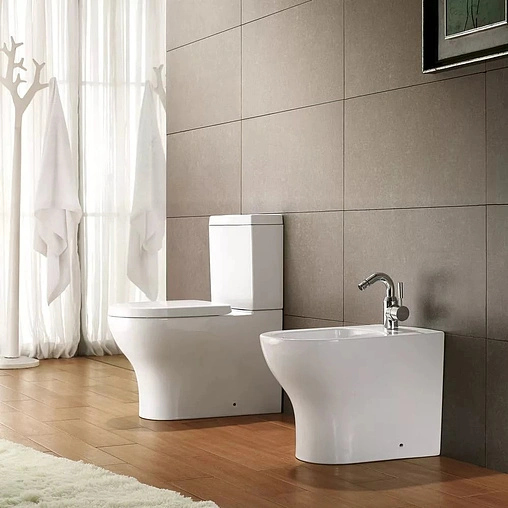 Унитаз-компакт Bravat Rael белый CX01016UW