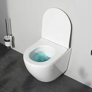 Унитаз подвесной безободковый Am.Pm Like AquaSpin белый C801900SC Унитаз подвесной безободковый Am.Pm Like AquaSpin белый C801900SC, 4