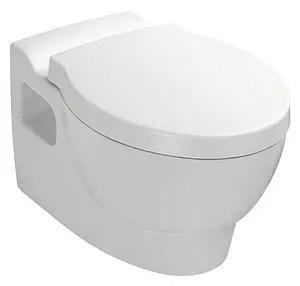 Унитаз подвесной Jacob Delafon Ove белый E1585-00 Унитаз подвесной Jacob Delafon Ove белый E1585-00, 1