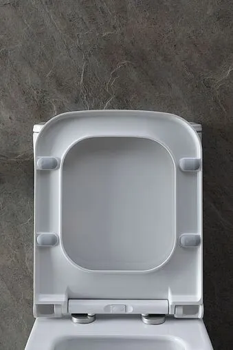 Унитаз-компакт безободковый Allen Brau Infinity белый 4.21012.20+4.XX000.20