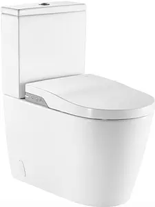 Умный унитаз-биде напольный безободковый Roca Inspira in-wash белый 80306L001 Умный унитаз-биде напольный безободковый Roca Inspira in-wash белый 80306L001, 1