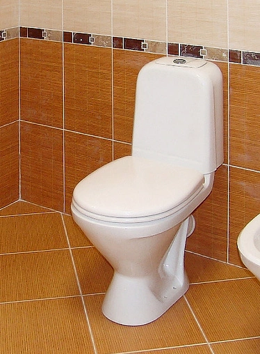 Унитаз-компакт Sanita Самарский Комфорт белый WC.CC/Samarsky/2-TM/WHT.G/S1