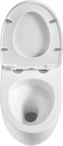 Унитаз подвесной безободковый Terminus Енисей Monolit Tornado белый 05W56х39W