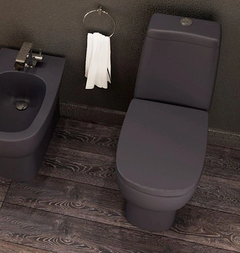 Унитаз-компакт Sanita Luxe Infinity Color Grey Stone серый матовый INFSLCC25170522 Унитаз-компакт Sanita Luxe Infinity Color Grey Stone серый матовый INFSLCC25170522
