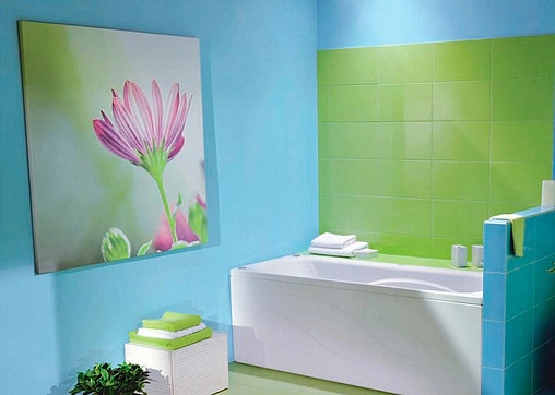 Панель для ванны фронтальная Roca Uno 160x75 белый ZRU9302871