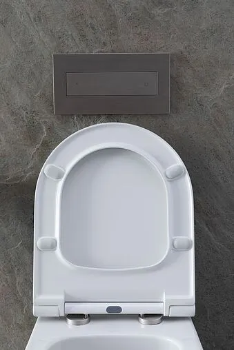 Унитаз подвесной безободковый Allen Brau Priority белый 4.31001.20