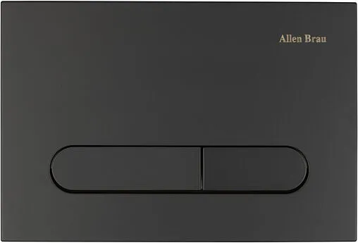 Клавиша смыва для унитаза Allen Brau Project Color 9.2PR01.31 черный матовый