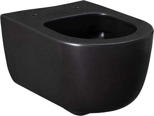 Унитаз подвесной безободковый Allen Brau Priority черный матовый 4.31002.31
