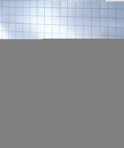 Смывной бачок скрытого монтажа Grohe GD2 38661000